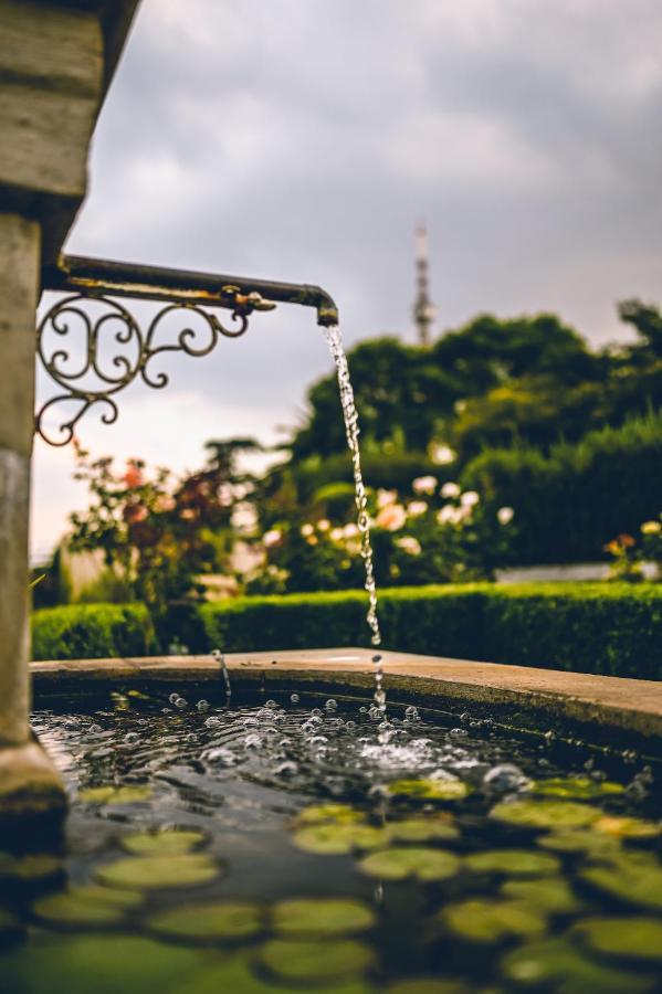 The View Boutique Hotel ヨハネスブルグ エクステリア 写真